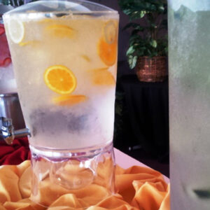 Fruit Infused Water Station