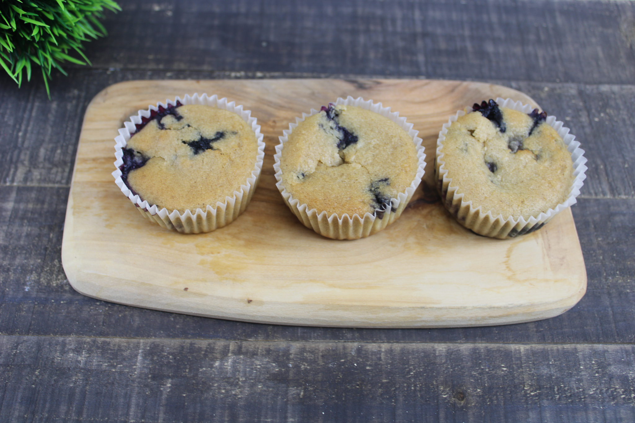Vegan and Gluten Friendly Blueberry Muffins