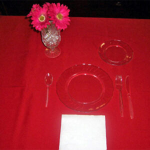 Clear Plastic Disposable Setup