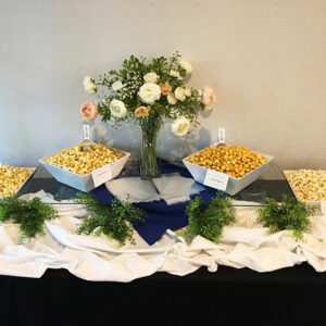 Gourmet Popcorn Station