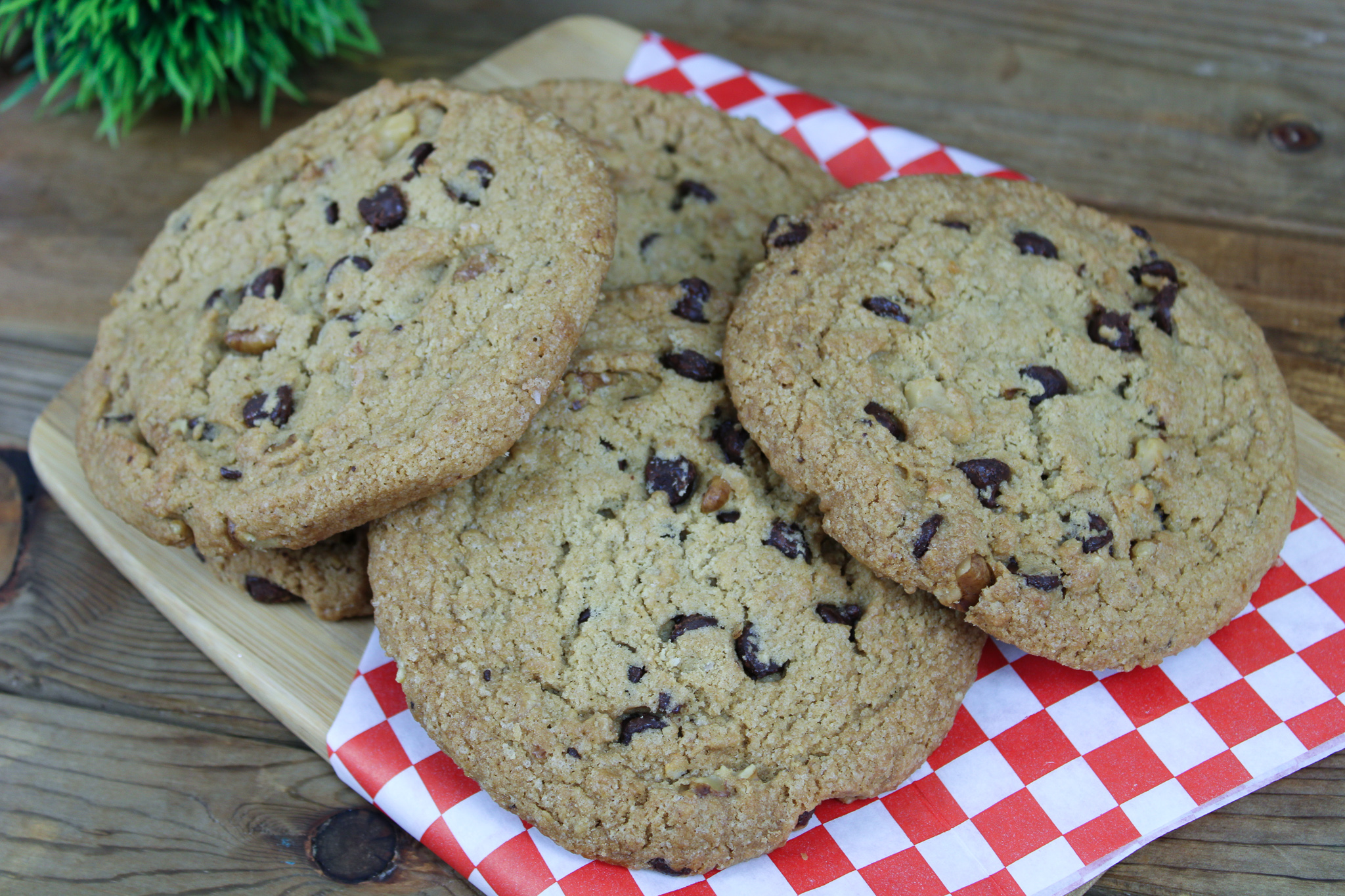Jumbo Vegan Chocolate Chip Walnut Cookie