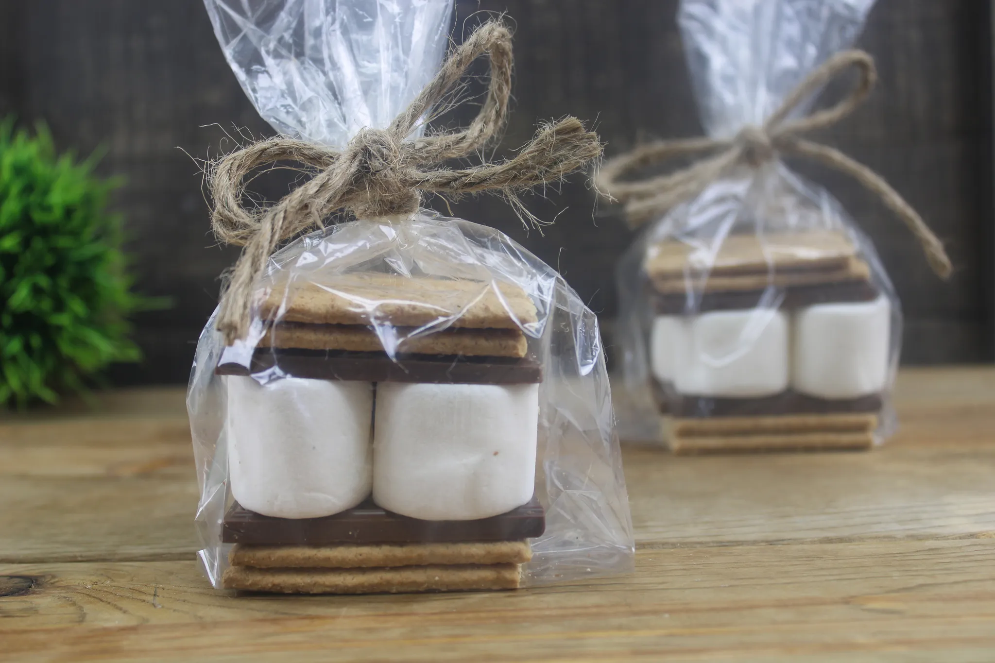 Individual S'more Kits